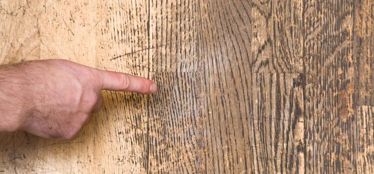 Wood Door Scratch Repair in Clayton